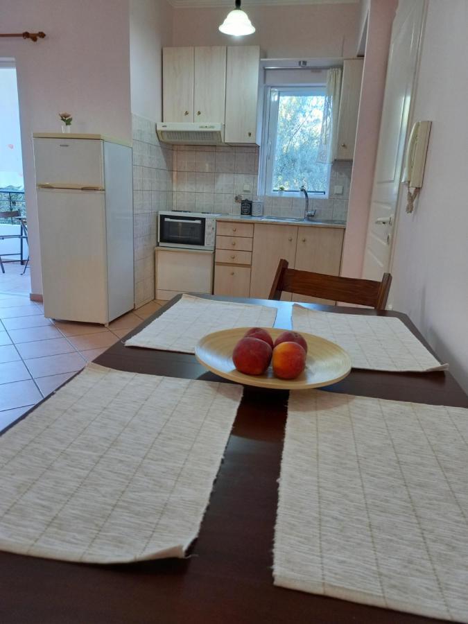 Appartement Olivo Nydri Extérieur photo
