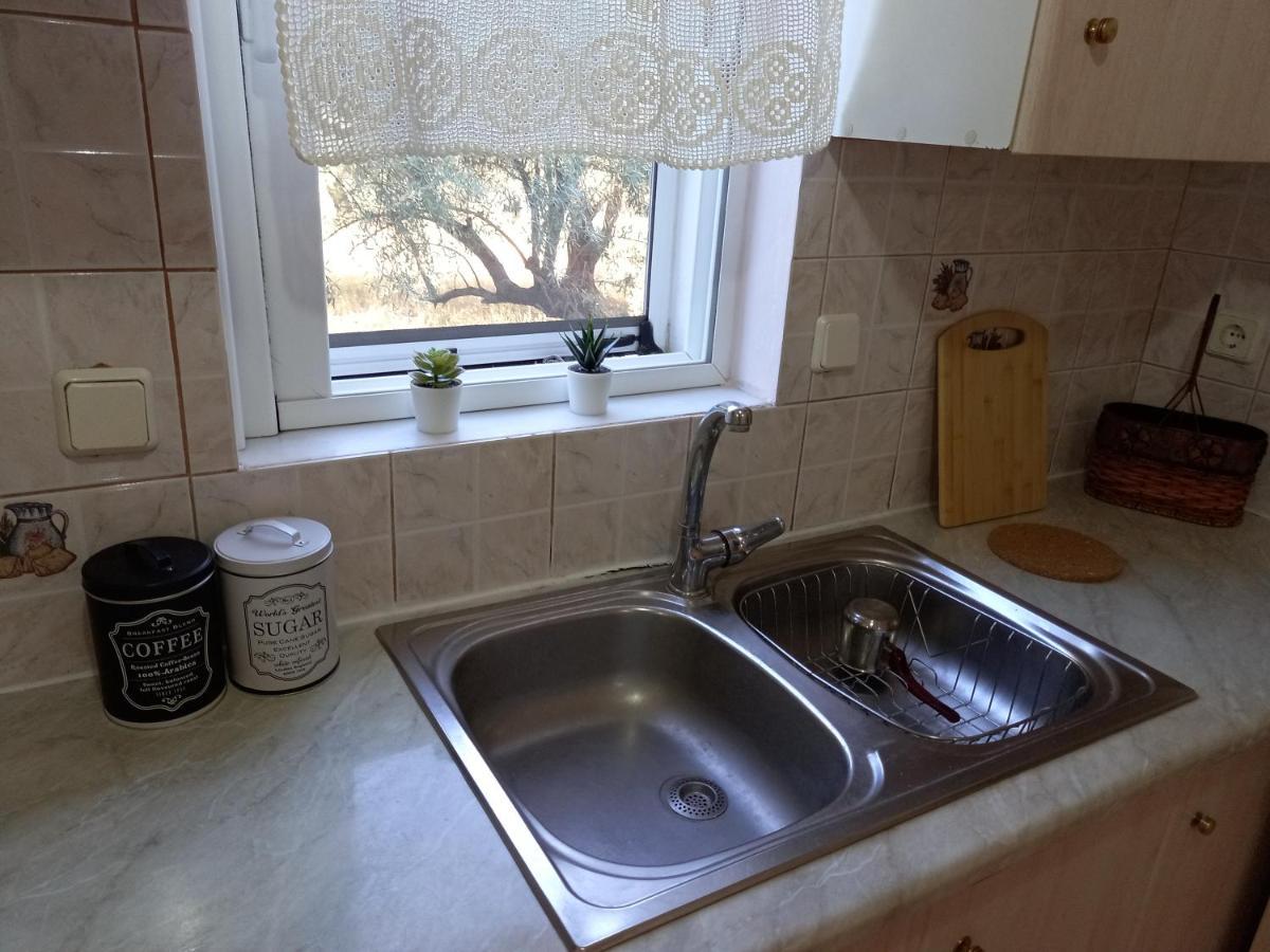 Appartement Olivo Nydri Extérieur photo