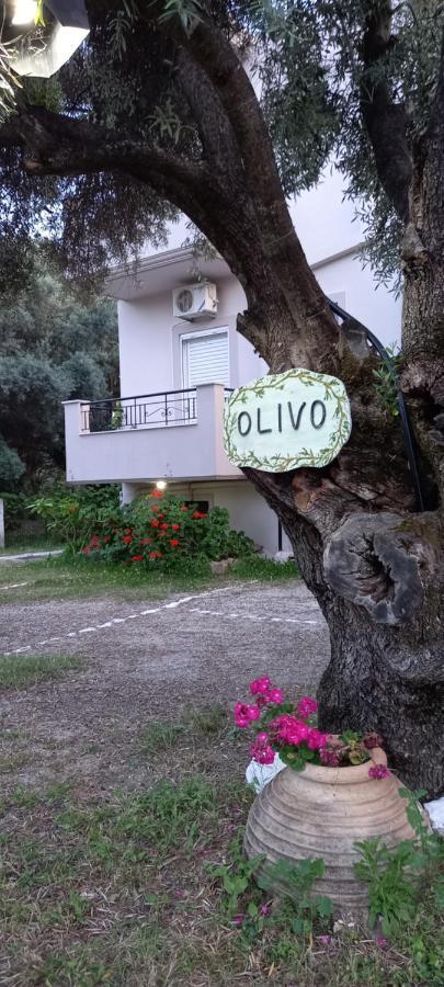 Appartement Olivo Nydri Extérieur photo